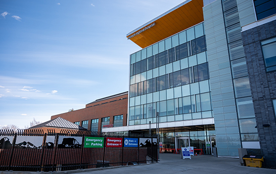 J9集团·(中国)首页官网